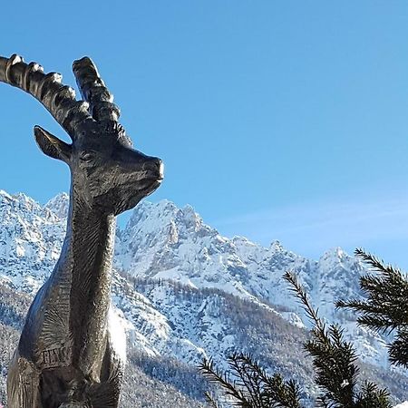 Nigritella Apartamento Kranjska Gora Exterior foto