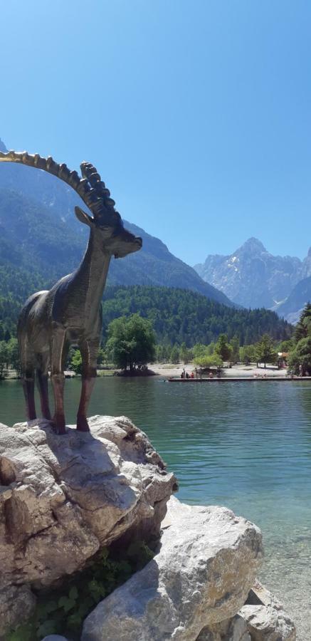 Nigritella Apartamento Kranjska Gora Exterior foto
